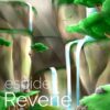 Stream Reverie [remix stems] by EspiDev | Listen online for free on SoundCloud